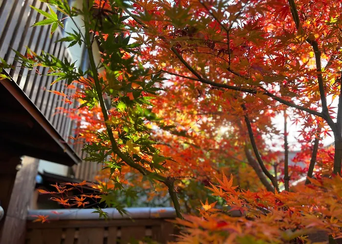 Imakumano Terrace - Dohachi An 道八庵
