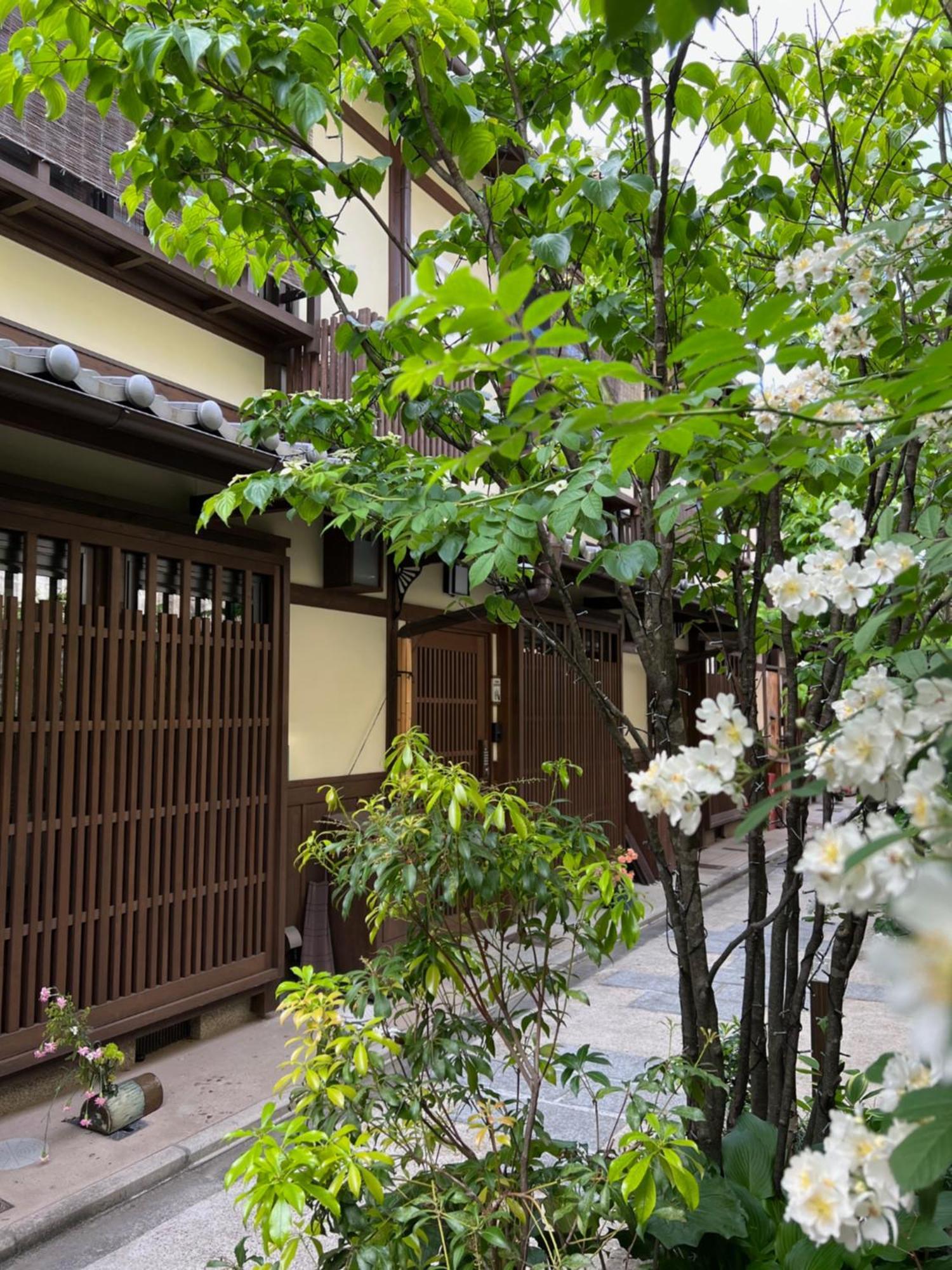 度假居 Imakumano Terrace - Dohachi An 道八庵