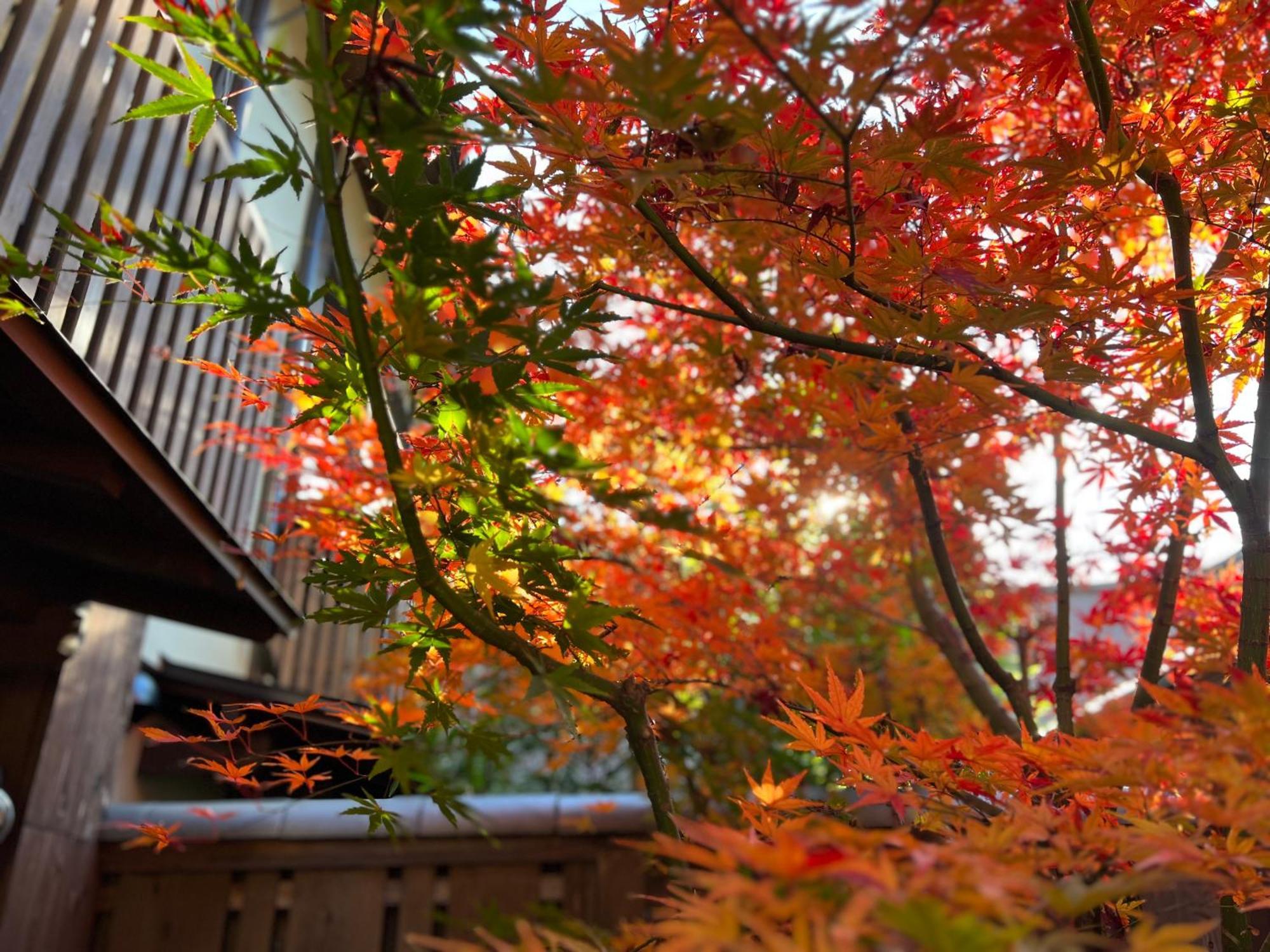 Imakumano Terrace - Dohachi An 道八庵 京都
